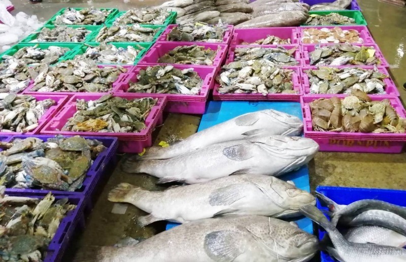 อาหารทะเลแช่แข็ง มหาชัย